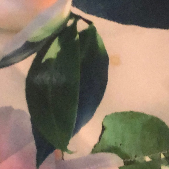 Floral dress. - Picture 4 of 5